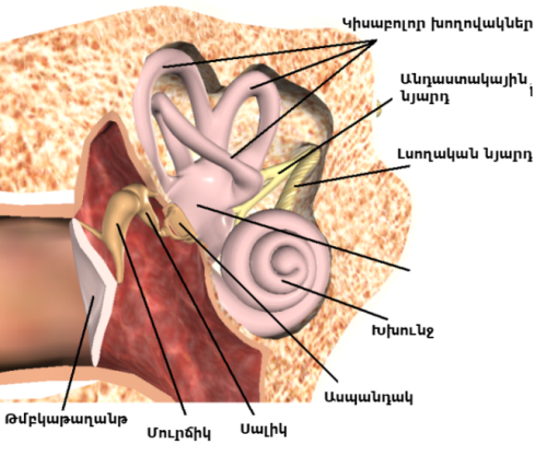 Կարծիքի ճշգրտում և ճշմարտության վերականգնում