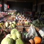 Հայ-վրացական տնտեսական կապերի խորը ճգնաժամը. Փաշինյանի «դիվերսիֆիկացման» արդյունքը